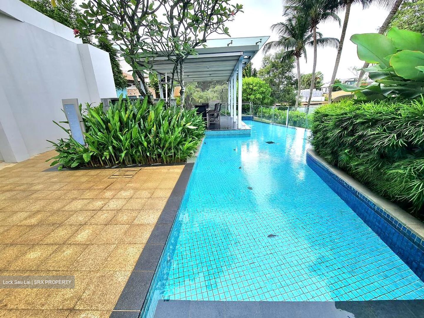 Turquoise (D4), Condominium #480054641